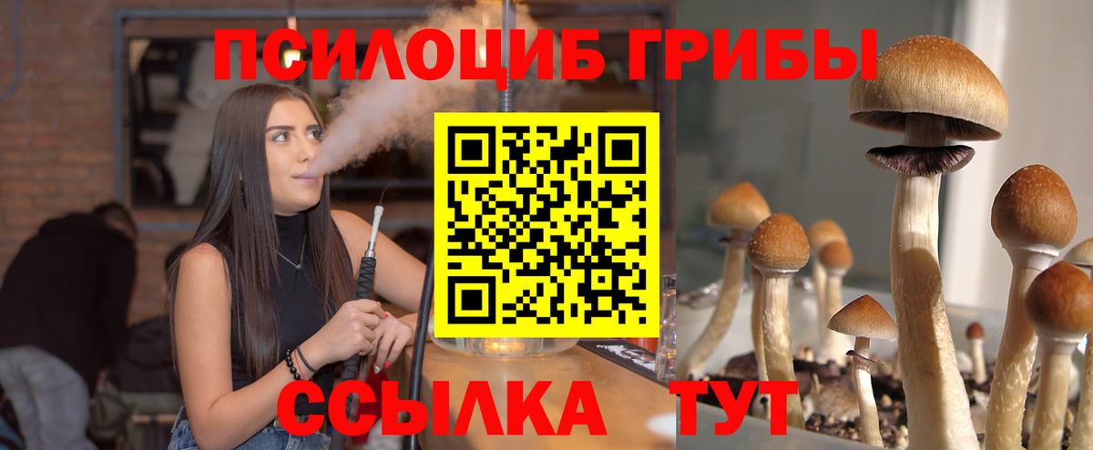 Златоуст  Галлюциногенные грибы мицелий  Вход с VPN 